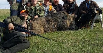 182-килограмово прасе отстреляха край Студена